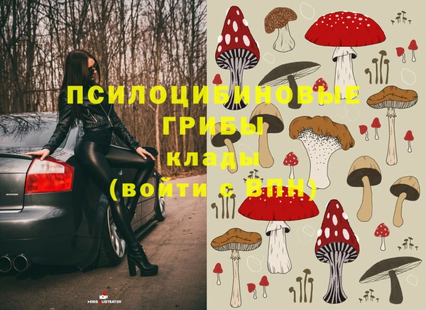 первитин Абинск