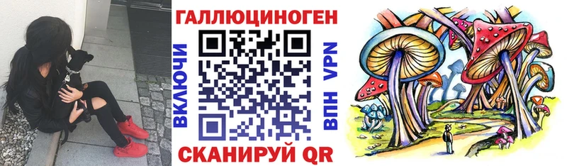 Галлюциногенные грибы прущие грибы  хочу наркоту  Ак-Довурак 